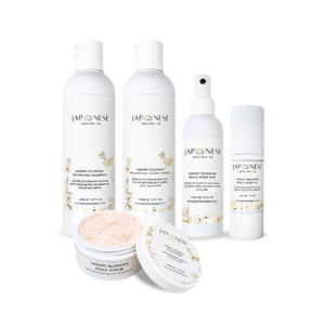 JAPANESE HEAD SPA CO