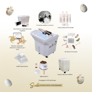 japanese head spa business package