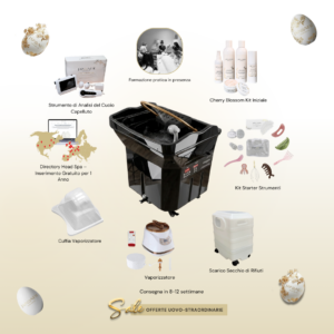 japanese head spa business package